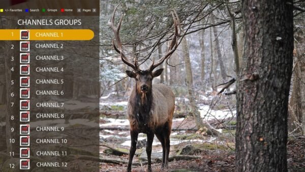 ELK Player IPTV | Activation & abonnement IPTV – Image 3