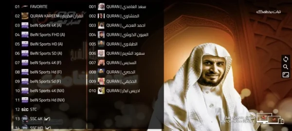 Hook Tv Pro code 12 mois – Image 3